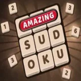 Amazing Sudoku