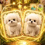 Animal Pair Card Match