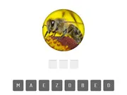 Animal Quiz gameplay preview