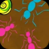 Ant Maze