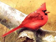 Art Birds Puzzle gameplay preview