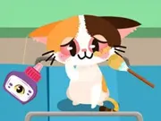 Baby Taylor Pet Care Center gameplay preview