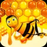 Bee Factory Honey Collector