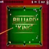 Billiard King
