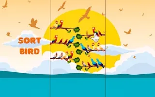 Bird Sort gameplay preview