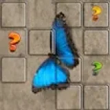Butterfly Memory Match
