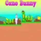 Cano Bunny
