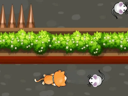 Cat Trap Labyrinth Escape gameplay preview