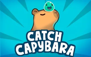 Catch Capybara gameplay preview