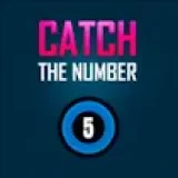 Catch The Number