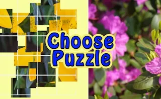 Choose Puzzle gameplay preview