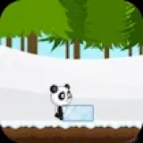 Christmas Panda Run