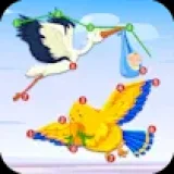 Connect the Dots Plus