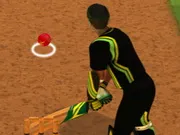 Cricket Batter Challenge gameplay preview