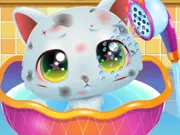 Cute Kitty Care gameplay preview