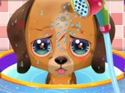 Cute Puppy Care gameplay preview