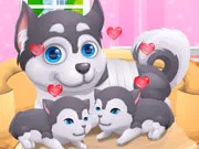 Cute Puppy Pregnant gameplay preview
