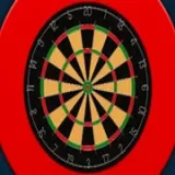 Darts Pro
