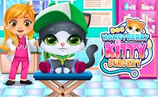 Doc HoneyBerry Kitty Surgery gameplay preview
