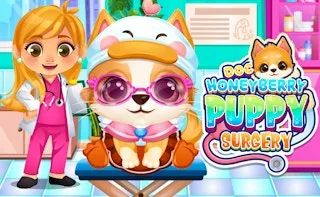 Doc HoneyBerry Puppy Surgery gameplay preview