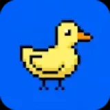 Duck Run