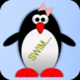 Esther the penguin. Learn to swim.