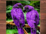 Exotic Animals Jigsaw gameplay preview