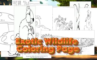 Exotic Wildlife Coloring Page gameplay preview