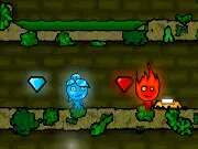 Fireboy And Watergirl: The Forest Temple gameplay preview