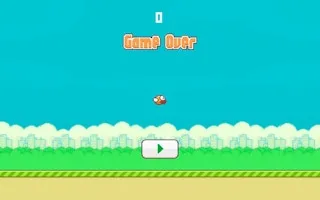 Flappy Bird 2D Game gameplay preview