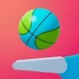 Flipper Dunk 3D