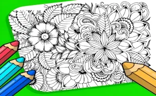 Flowers Coloring Game for Adults gameplay preview