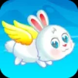 Flying Bunny
