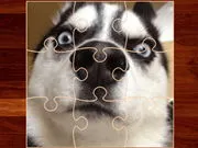 Funny Dogs Puzzle gameplay preview