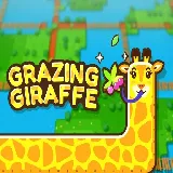 Grazing Giraffe