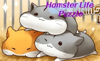 Hamster Life Puzzle gameplay preview