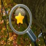 Hidden Gold Stars
