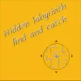 Hidden labyrinth - find and catch