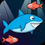 Hungry Shark