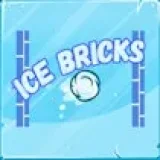 Ice Bricks