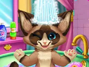 Kitten Bath gameplay preview