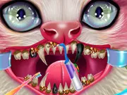 Kitty Dental Caring gameplay preview