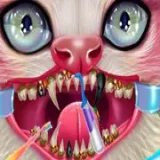 Kitty Dental Caring