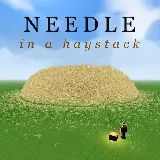 Needle in a Haystack