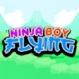 Ninja Boy Flying