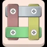 Nuts And Bolts Screw Puzzle