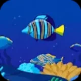 Ocean Math Game Online