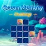 Ocean Memory Challenge