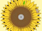 Ohamster gameplay preview