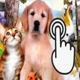 Pets Clicker